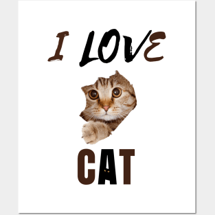 I Love Cat with Kitten Face & Eyes Posters and Art